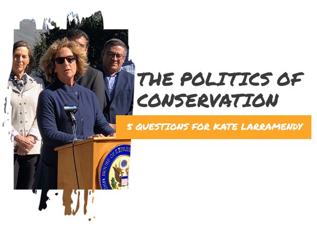 The politics of conservation