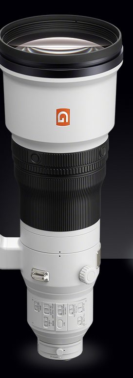 FE 600mm f/4.0 GM OSS