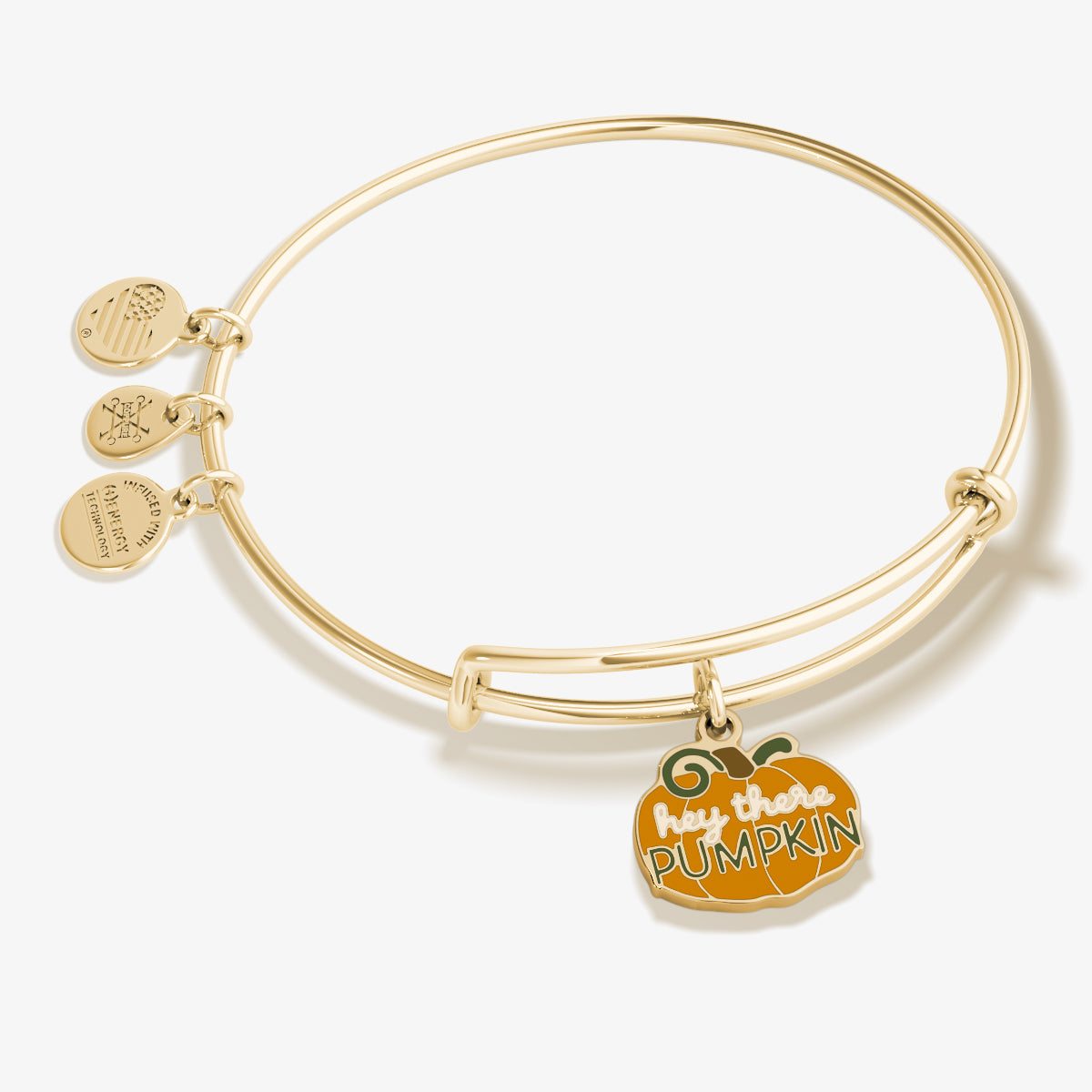 Image of 'Hey There Pumpkin' Charm Bangle Bracelet