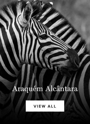 Araquém Alcântara