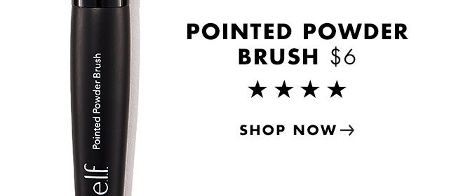 Pointed Powder Brush