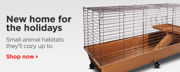 New home for the holidays. Small animal habitats they'll cozy up to. Shop now > 