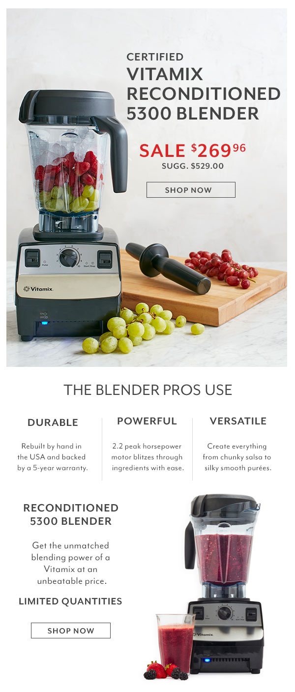 Vitamix Reconditioned 5300 Blender