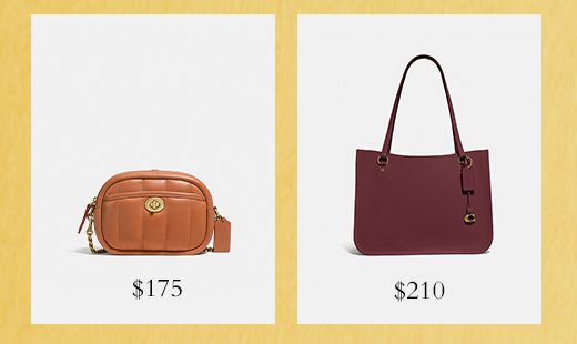 Shop Bags Under $250