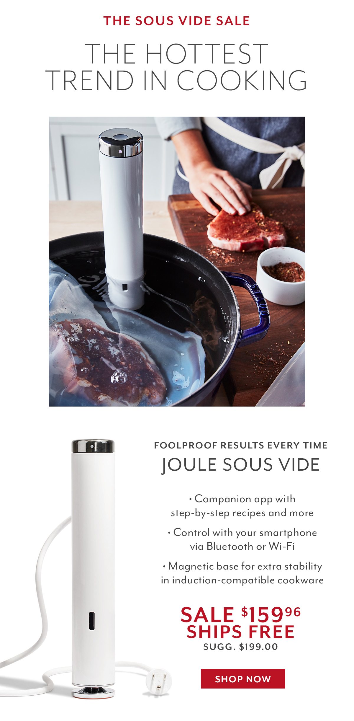 Joule Sous Vide by ChefSteps