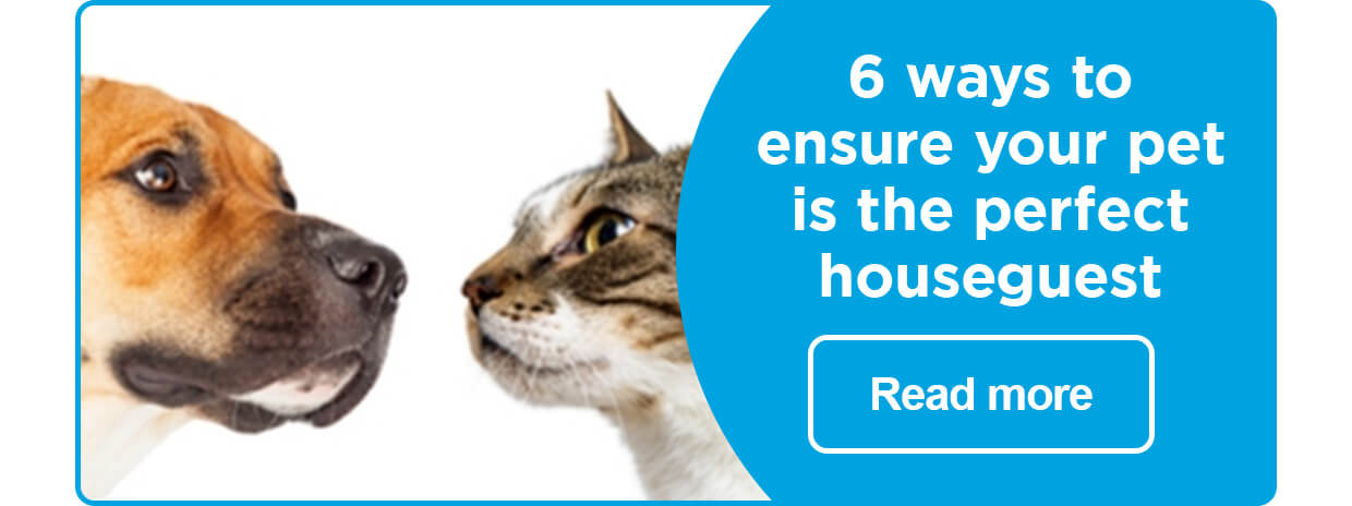 6 ways to ensure your pet is the perfect houseguest. Read more.