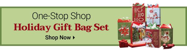 One-Stop Shop Holiday Gift Bag Set - Shop Now