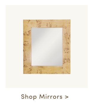 Shop Mirrors