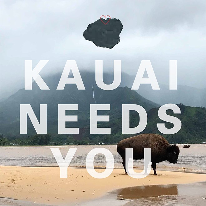 Papulo Kauai Relief Tee