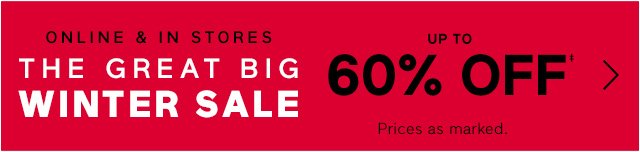 THE GREAT BIG WINTER SALE