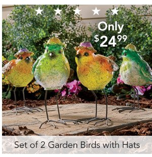 Set of 2 Garden Birds with Hats Only $24.99