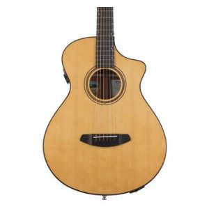 Breedlove select guitars