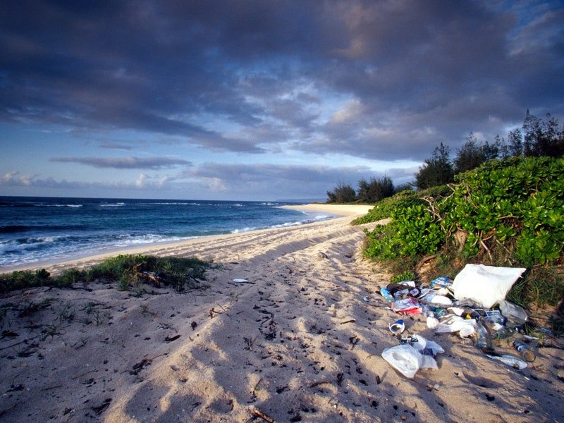 Hawaii, Oahu, Polluted Beach