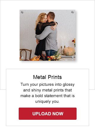 Metal Prints