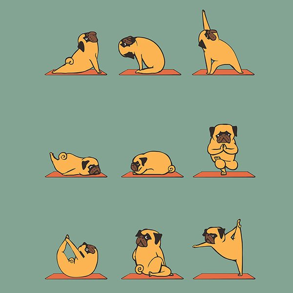 PUG YOGA