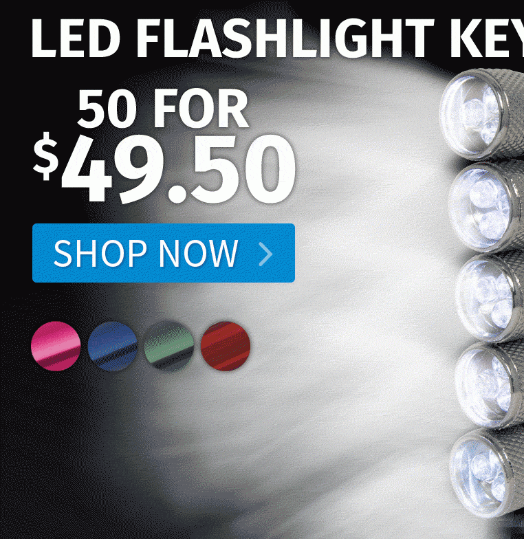 50 LED Flashlight Key Chains for only $49.50!