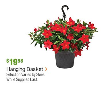 $19.98 HANGING BASKET WHILE SUPPLIES LAST.