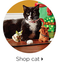 Shop cat > 