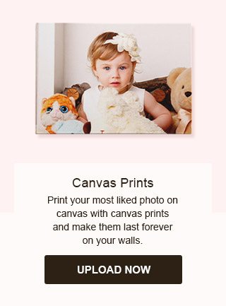 Canvas Prints