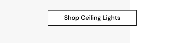 Shop Ceiling Lights