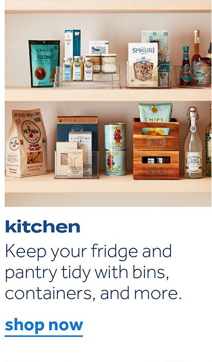 kitchen | Keep your fridge and pantry tidy with bins, containers, and more | shop now