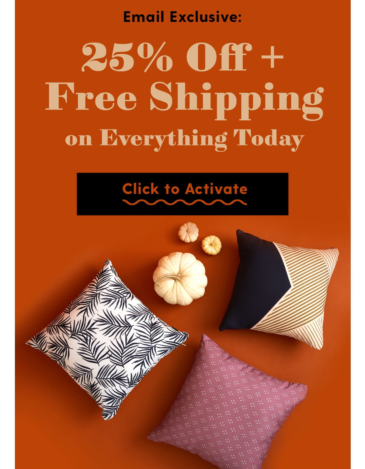 Email Exclusive: 25% Off + Free Shipping on Everything Today. Click to Activate >