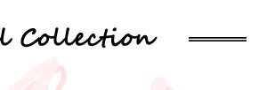 New Arrival Collection