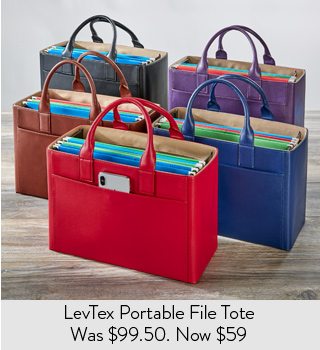 Shop LevTex Portable File Tote