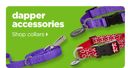 Diaper accessories. Shop collars >