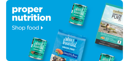 Proper nutrition. Shop food >