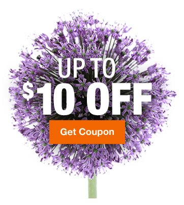 $5 off $50, $10 off $100