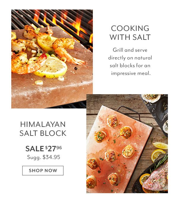 Himalayan Salt Block