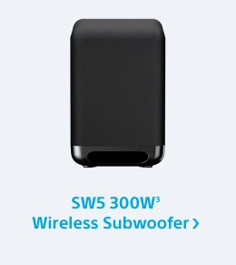 SW5 300W(3) Wireless Subwoofer