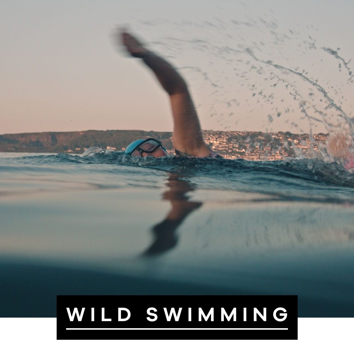 Wild Swimming Sea Image