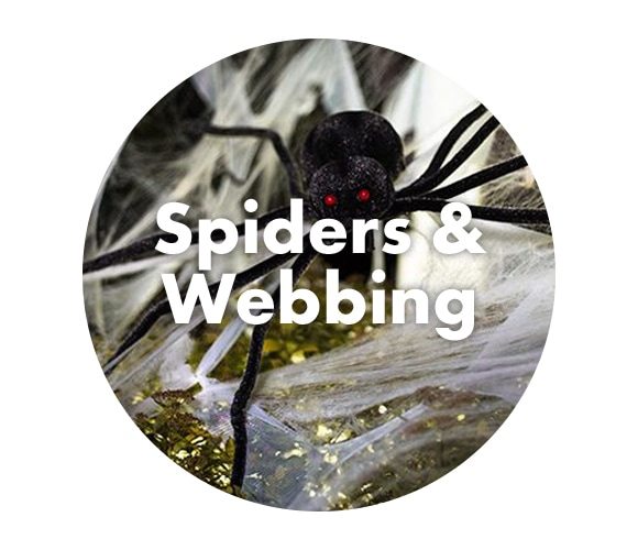 Spiders & Webbing