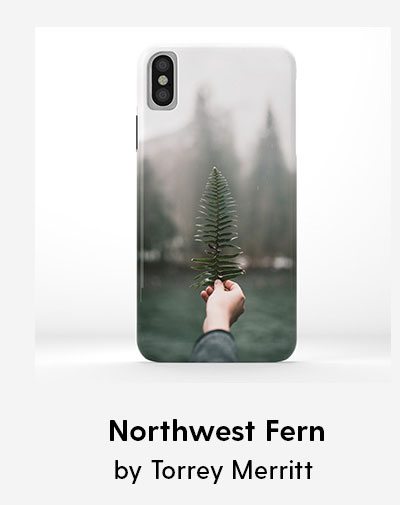 Northwest Fern iPhone Case by Torrey Merritt 