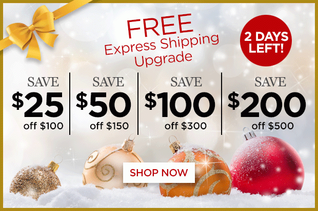 Free Express Shipping Upgrade PLUS up to $200 off!