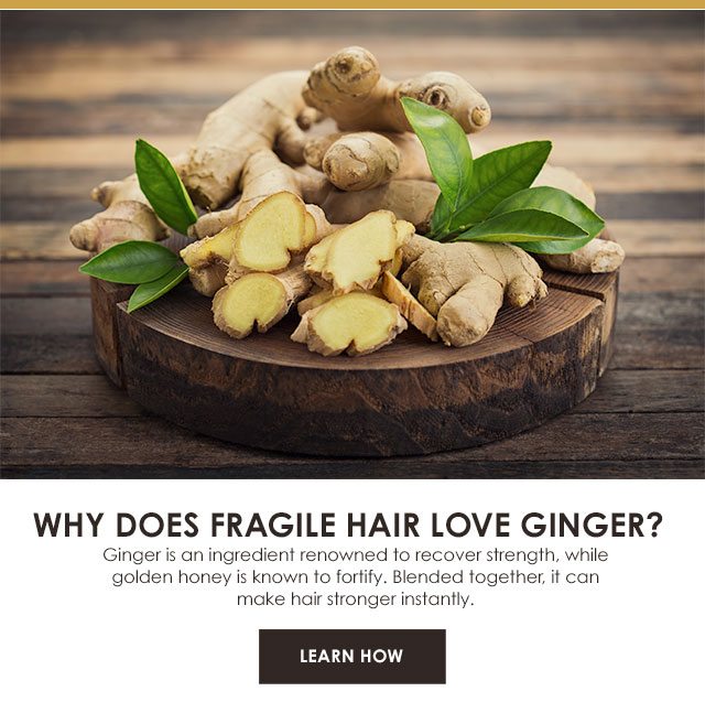 WHY DOES FRAGILE HAIR LOVE GINGER? - Ginger is an ingredient renowned to recover strength, while golden honey is known to fortify. Blended together, it can make hair stronger instantly. - LEARN HOW