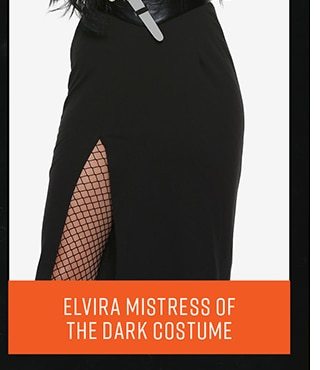 Elvira Mistress of the Dark Costume