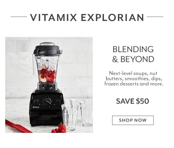 Vitamix Explorian