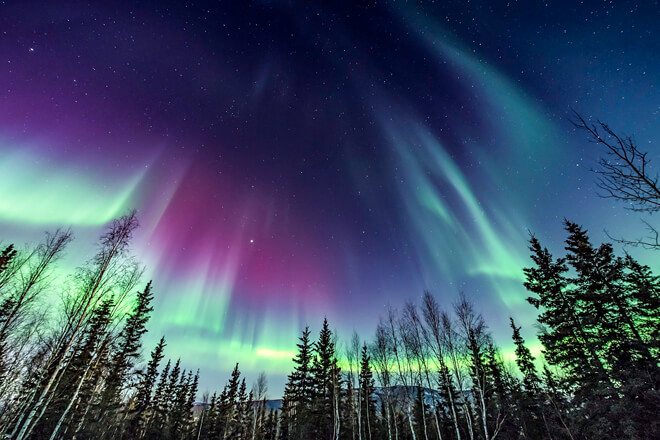 Immerse yourself in Alaskan culture and experience the spectacular Northern Lights!