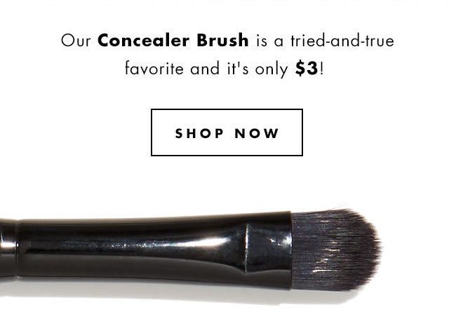 Concealer Brush, $3. Shop Now