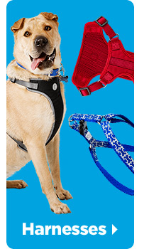 Harnesses