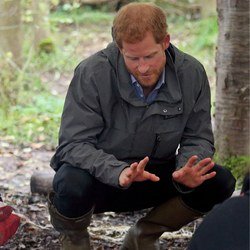 Prince Harry