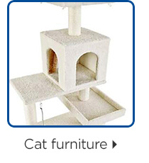 Cat furniture.