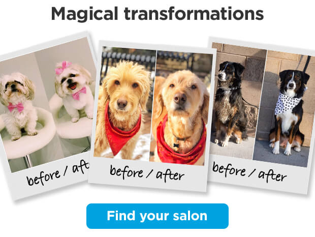 Magical transformations. Find your salon.