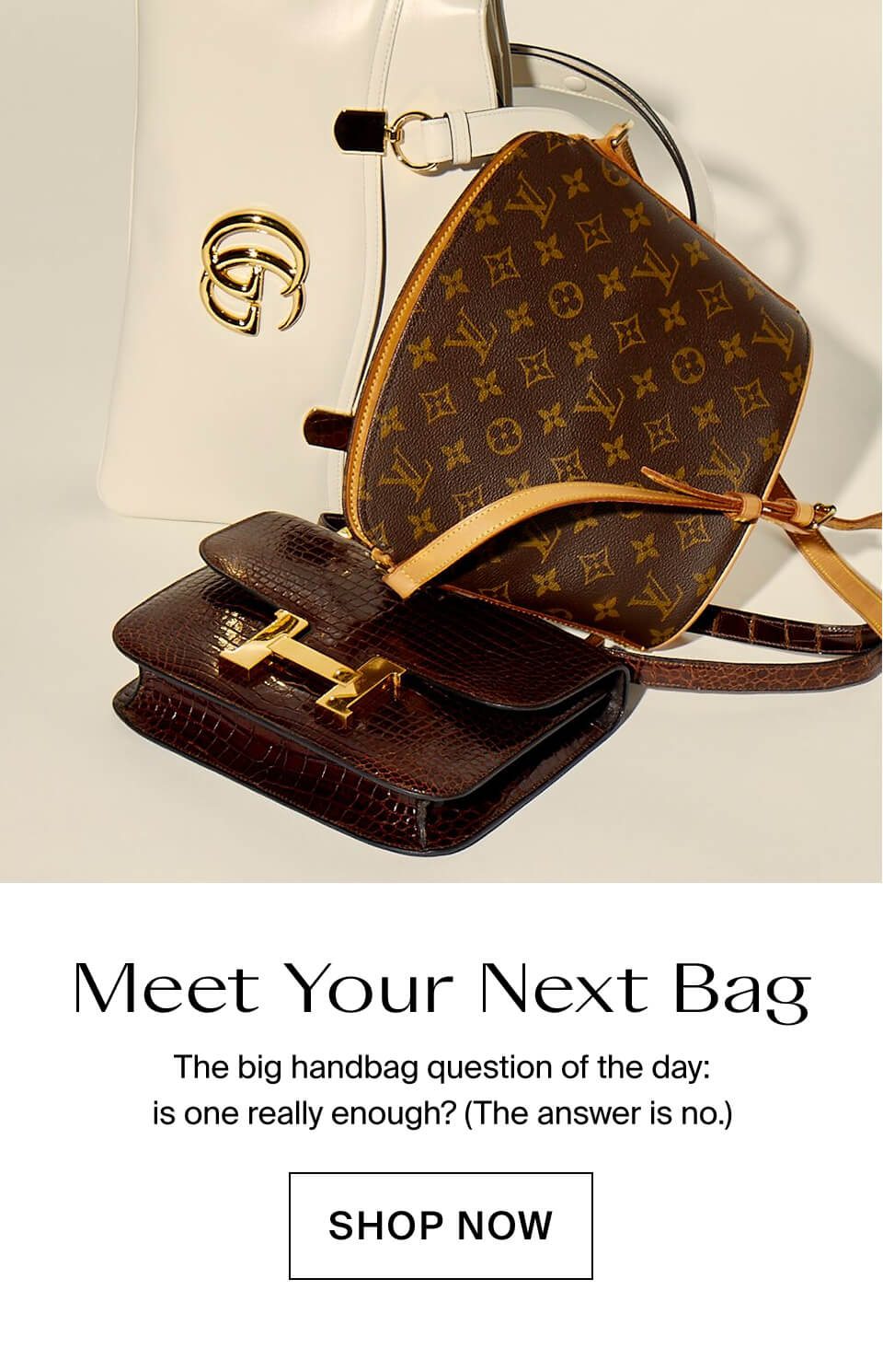 Meet Your Next Bag
