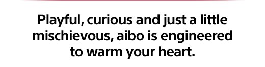 Playful, curious and just a little mischievous, aibo is engineered to warm your heart.