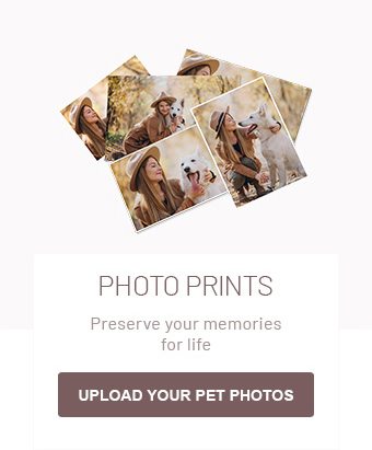 Photo Prints