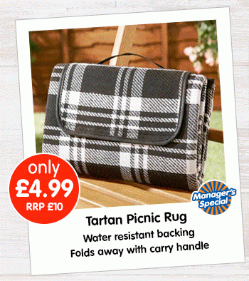 Tartan Picnic Rug